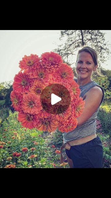 Meg || Missouri Flower Farmer ll Gardener || Zone 6b on Instagram: "My favorite zinnia varieties! I love zinnias…always have, always will. They will ALWAYS have a place in my garden. 💗🌸💗 In fact, zinnias were one of the first flowers I grew in my vegetable garden and also one of the easiest flowers to grow! 
Favorites I’m growing this year:
Queen Lime Red
Queen Lime with Blush
Benarys Giant Purple
Queeny Lemon Peach
Salmon Rose
Oklahoma Pink
Oklahoma Salmon
Benarys Giant Lime
Florets Unicorn Mix
Benarys Giant Golden Yellow
•
•
•
#flower #flowers #flowerfarmer #flowerfarm #flowerfarming #growingflowers #flowerchild #localflowers #farmerflorist #zinnias #zinnia" Zinnia Varieties, Easiest Flowers To Grow, Flowers To Grow, Peach Salmon, Flower Farmer, Red Queen, Flower Farm, Growing Flowers, Yellow Flower