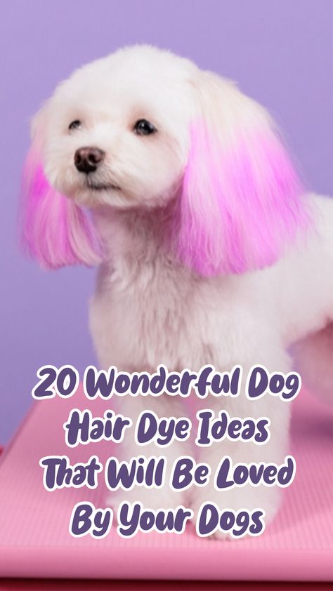 Suppose you are looking for dog hair dye ideas, then you come to the right place. Let’s take a look at our cool ideas below that may be loved by your lovely dog! #doghairdyeideas #doghairdyeideasshort hair #doghairdyeideaschristmas #doghairdyeideascreativegrooming #doghairdyeideashalloween #doghairdyeideashusky #dogdyeideashaircolors Dyed Poodles Pet Grooming, Colored Dogs Hair, Diy Dog Hair Dye, Poodles With Dyed Hair, Pet Hair Dye Ideas, Hair Dye For Dogs, Pet Dye Ideas, Dog Fur Dye Ideas, Hair Color For Dogs