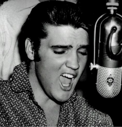 50s Elvis, Elvis Photos, Elvis Memorabilia, Elvis Sings, Sun Records, Young Elvis, Elvis Presley Pictures, Elvis Presley Photos, Great Smiles