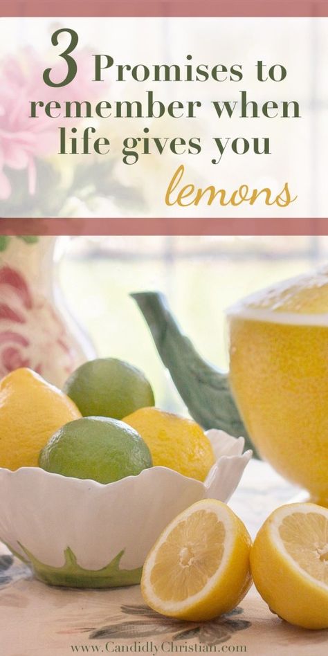 Womens Retreat Themes, Retreat Themes, Womens Ministry Events, Christian Women's Ministry, Prayer Breakfast, Luncheon Ideas, Church Fellowship, Lemons And Limes, Retreat Ideas