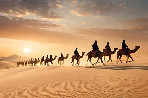 Camelos no deserto ao pôr do sol com o s... | Premium Photo #Freepik #photo #marrocos Premium Photo