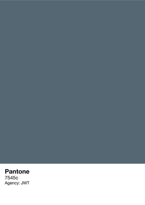 Bleu Pantone, Slate Blue Walls, Pantone Azul, Blue Wall Colors, Wall Design Ideas, Pantone Palette, Pantone Colour Palettes, Blue Paint Colors, Interior Paint Colors