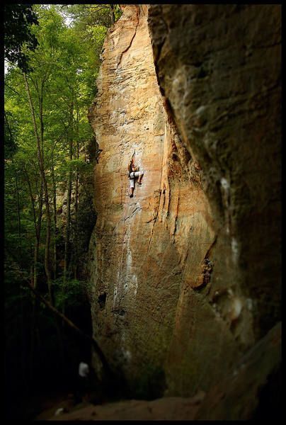 Rock Climbing Aesthetic, Forest Vacation, Solo Climbing, Rock Climbing Outfit, Red River Gorge Kentucky, Rock Climbing Workout, Climbing Workout, Trad Climbing, Rock Climbing Gear