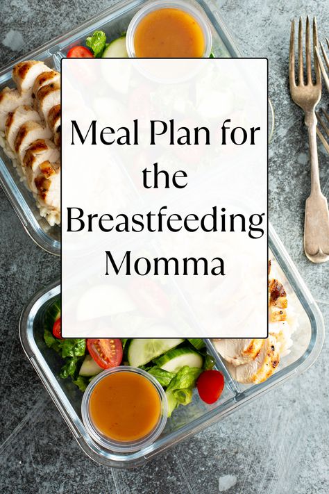 Are you a busy Momma who needs some meal prep ideas? These meals are great for the breastfeeding Momma and are sure to save you time! Breastfeeding Meal Prep, Mom Meal Prep, Breastfeeding Meal Plan, Clean Eating Meal Prep, Meal Prep Plan, Busy Mom Recipes, Breastfeeding Foods, Meal Prep Plans, Meal Prep Clean Eating