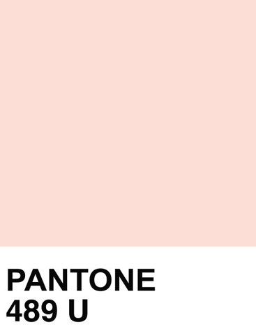 Blush - Pantone 489 U Bleu Pantone, Pantone Azul, Pantone Swatches, Pantone Palette, Pantone Colour Palettes, Deco Rose, Color Inspo, Color Textures, Colour Schemes