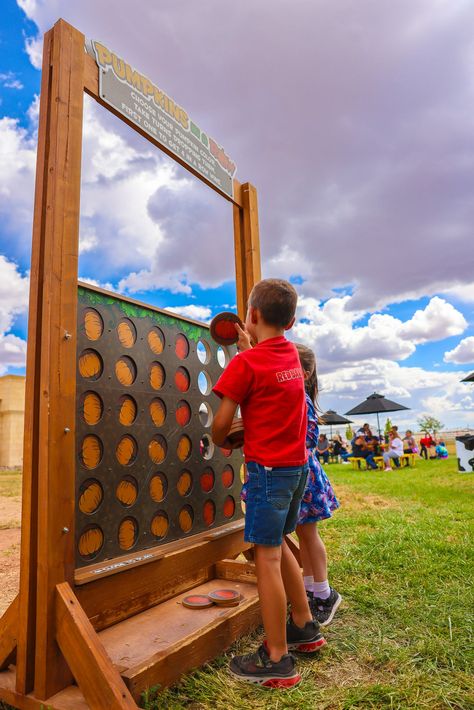 McCall's Farm Pumpkin Patch Ideas Diy, Agrotourism Ideas Farms, Pumpkin Patch Decorating Ideas, Patch Ideas Diy, Pumpkin Patch Ideas, Pumpkin Train, Diy Pumpkin Patch, Pumpkin Patch Activities, Orchard Ideas