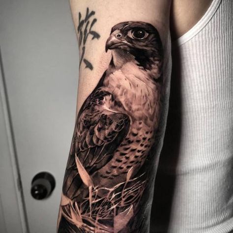 Realistic falcon arm tattoo Japanese Falcon, Bird Of Prey Tattoo, Falcon Tattoo, Rooster Tattoo, John Hart, Hipster Tattoo, Hawk Tattoo, Mountain Tattoo Design, Tattoo Now