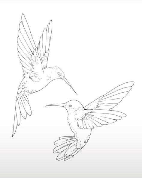 Line Drawing Hummingbird, Hummingbird Sleeve Tattoo Women, Cool Animal Tattoos, Hummingbird Drawing, Fly Drawing, Animal Tattoo Ideas, Gift Crafts, Asian Painting, Hummingbird Tattoo