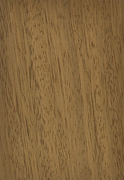 Wide Plank Wood Flooring, Wood Floors Wide Plank, House And Home, Material Textures, Wide Plank, Wood Flooring, Staircases, Wood Texture, Wood Floors