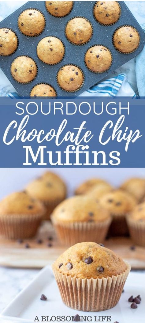 Sourdough Banana Chocolate Chip Muffins, Sourdough Discard Protein Muffins, Easiest Sourdough Discard Recipes, Discard Sourdough Muffins, Chocolate Chip Sourdough Muffins, Sourdough Muffins Healthy, Sourdough Muffins Chocolate Chip, Recipes With Sourdough Discard, Sourdough Discard Chocolate Chip Muffins