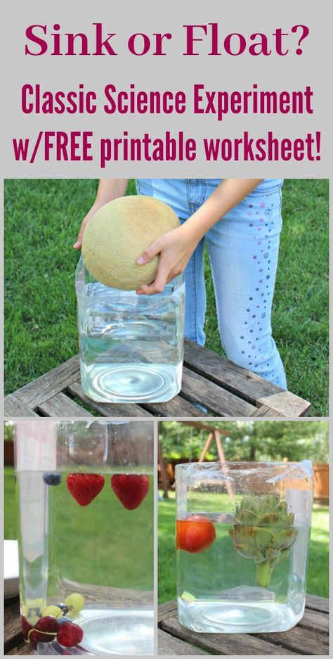 Will it sink or float? Classic science experiment for kids - fun ways to introduce preschool, kindergarten and elementary kids to physic concepts! Includes a free printable worksheet so students can predict if an item will sink or float BEFORE the drop it into water. This is an AWESOME summer or Fall science activity too using fruits and vegetables from the Farmer's Market or local stores! Farmers Market Science Preschool, Will It Float Or Sink, Garden Science Experiments For Kids, Preschool Vegetable Activities, Fruits Activities For Kids, Farmers Market Preschool, Vegetable Activities For Preschool, Sink Or Float Preschool, Fruit And Vegetables Activities For Kids