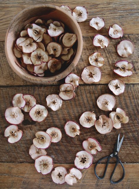 Learn how to make a dried apple garland that is perfect for a fall mantel, and looks good with Christmas greenery too! #driedapples #homedecor Dried Apple Garland, Diy Fall Garland, Natural Fall Decor, Apple Garland, Diy Apple, Apple Craft, Apple Decorations, Fall Garland, Dried Apples