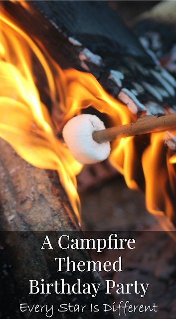 A Campfire Themed Birthday Party Campfire Birthday Party Ideas, Caveman Party, Campfire Ideas, Campfire Birthday Party, Campfire Birthday, Bonfire Birthday Party, Bonfire Birthday, Themed Dinner Party, Campfire Party