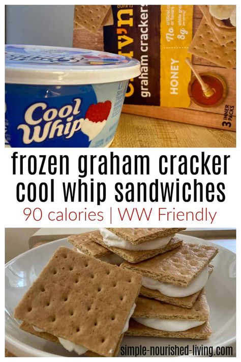 Weight Watchers Recipes 0 Points, Graham Cracker Ice Cream Sandwich, Healthy Graham Crackers, Graham Cracker Ice Cream, Ww Treats, Graham Cracker Treats, Graham Cracker Snacks, Ww 2023, Ww Deserts