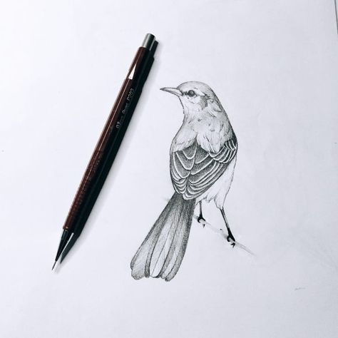 Mocking Bird Tattoo, Mocking Bird, Mocking Birds, Miles To Go, Bird Tattoo, Birds Tattoo, Tattoo Ink, Reference Images, New Tattoos