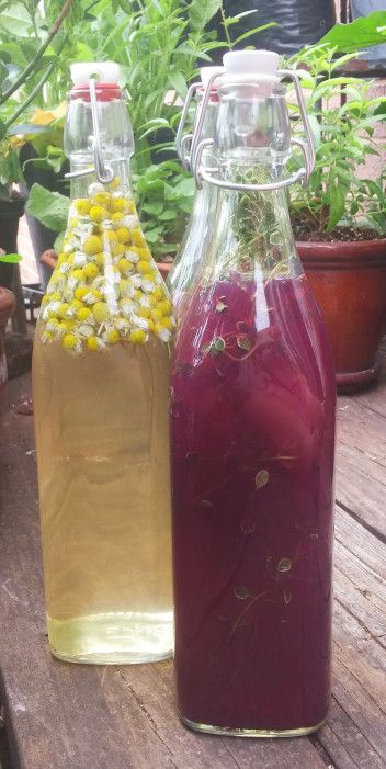 Fig Vinegar Recipes, Herbal Vinegars, Homemade Vinegar, Fermented Fruit, Fermented Recipes, Fruit Vinegar, Vinegar Recipes, Vinegar Salad, Herbal Vinegar