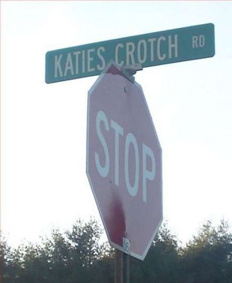 Dead End – 25 Hilariously Funny Signs Funny Street Signs, Street Name Sign, Funny Road Signs, 10 Funniest, Stop Sign, Fun Signs, Epic Fails Funny, Street Names, Road Signs