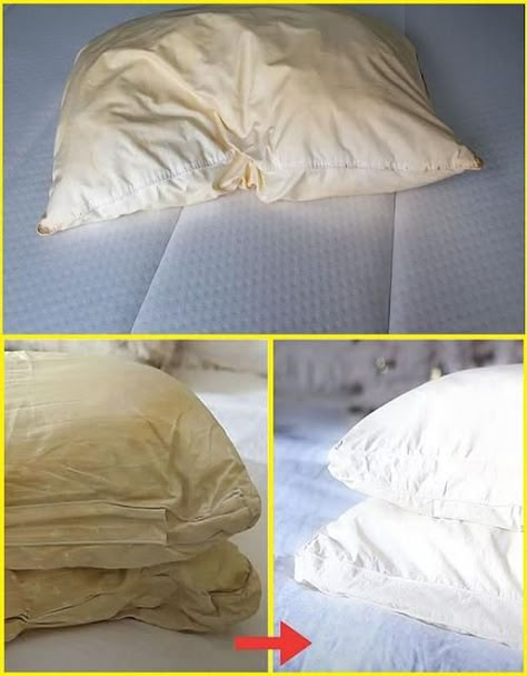 Here’s how to clean dirty pillows from bed to leave them white and sweet scent… Wash Bed Pillows, Vinegar Washing Machine, Clean White Sheets, Cleaning Pillows, Brighten Whites, Cleaning With Bleach, Heavenly Recipes, Grandma Cooking, Homemade Cleaning Supplies