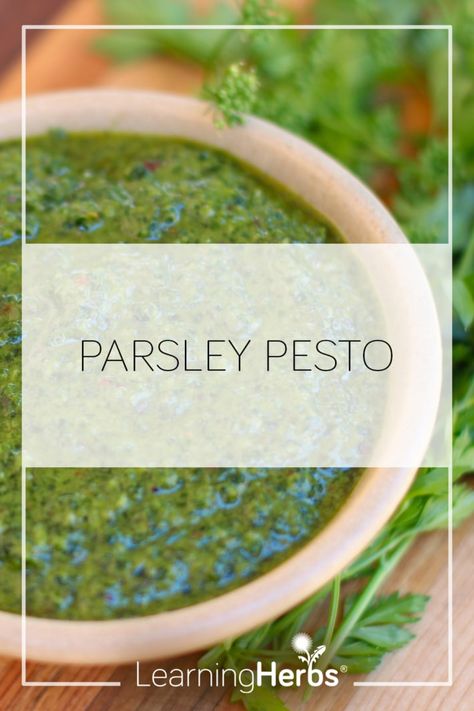 Parsley Pesto Recipe, Benefits Of Parsley, Parsley Benefits, Parsley Recipes, Parsley Pesto, Herb Recipes, Steak Sauce, Pesto Recipe, Garden Recipes