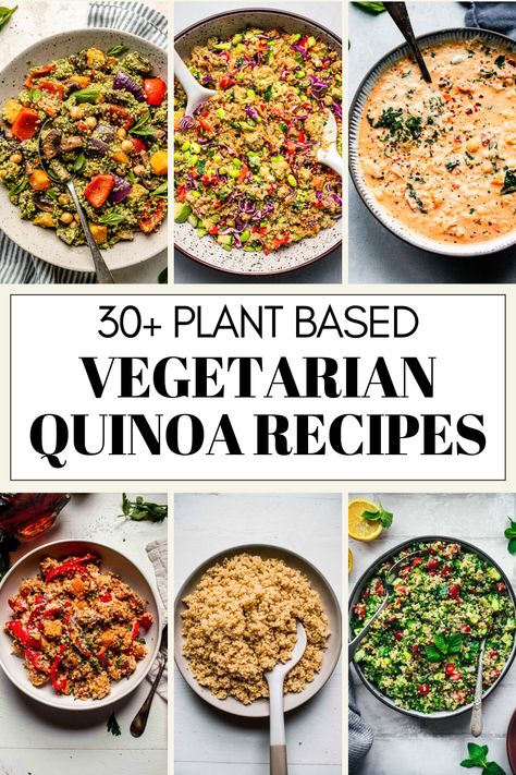 Here's 30+ delicious vegetarian quinoa recipes to try out! Quinoa is a gluten-free whole grain that is packed with protein, fiber, and nutrients. It is a great alternative to rice or pasta, and it can be used in a variety of dishes, from breakfast to dinner. Quinoa And Veggies Recipes, Vegetarian Fiber Meals, Quinoa Recipes Dinner Vegetarian, Plant Based Quinoa Recipes, Quinoa Vegetarian Recipes, Warm Quinoa Recipes, Dairy Free Quinoa Recipes, Quinoa Vegan Recipes, Vegetarian Recipes Rice