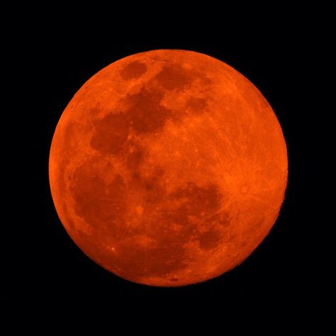 Orange Circle Aesthetic, Orange Vampire Aesthetic, Orange Star Aesthetic, Orange Spooky Aesthetic, Orange Dark Aesthetic, Orange Moon Aesthetic, Orange Widget Aesthetic, Orange Aesthetic Halloween, Orange Aesthetic Pfp