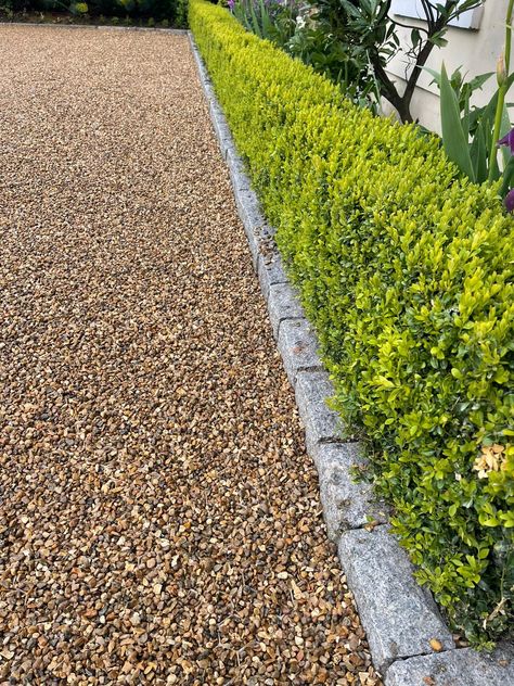 Naturally angular and hard-wearing, this attractive gravel has a warm golden brown palette with some creams and browns. Suitable applications include use with gravel grids, mulching of borders‚ paths‚ loose driveways and general landscaping. Laid on ECCOgravel stabilisation sheets. Project by Spring Landscapes. CED Stone Inspiring Beautiful Landscapes Golden Gravel Garden, Golden Gravel Driveway, Crushed Rock Driveway, Gravel Driveway Edging Cheap, Rock Driveways, River Rock Driveway, Gravel Driveway Edging, Gravel Grid, Limestone Gravel