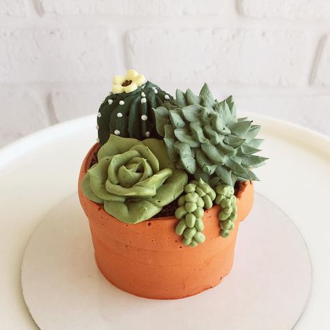 3,762 Likes, 132 Comments - Leslie Vigil (@_leslie_vigil_) on Instagram: “Close up of my mini succulent garden cupcake from the previous post. Succulents are my absolute…” Mini Succulent Garden, Garden Cupcakes, Pear And Almond Cake, Cactus Cupcakes, Succulent Cupcakes, Succulent Cake, Cactus Cake, Pot Cakes, Mini Bolo