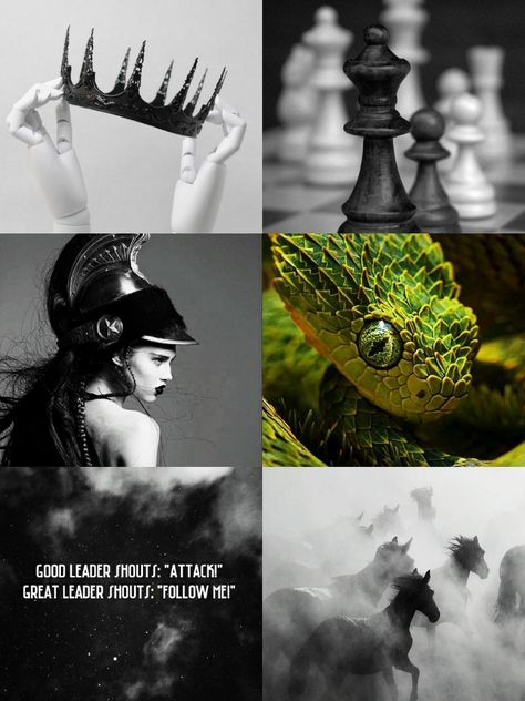 aesthetic ENTJ 8w7 slytherin Enneagram 8 Aesthetic, 8w7 Aesthetic, Entj 8w7, Pipes Aesthetic, Entj Aesthetic, Explorers Mbti, Entj Women, Wizarding Schools, Entj Personality