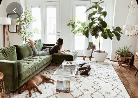 Green Sofa Living, Green Couch Living Room, Green Sofa Living Room, Green Couch, Sectional Sofas Living Room, Modern Sofa Sectional, Green Sofa, Living Room Green, Backyard Projects