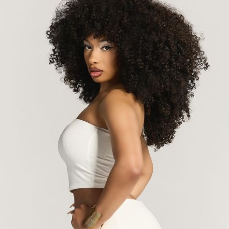 chart data (@chartdata) on X Tina Snow, I Am Everything, Silver Makeup, Thee Stallion, Celebrity Photography, Megan Thee Stallion, Stylish Celebrities, Female Rappers, Curly Hair Tips