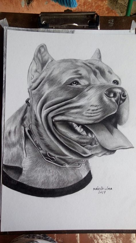 Pitbull Drawing Pencil, Pitbull Tattoo For Men, Pit Bull Tattoo Ideas, Pitbull Tattoo Design, Pit Bull Drawing, Pet Tattoo Ideas, Pitbull Drawing, Watch Tattoo Design, Pet Tattoos