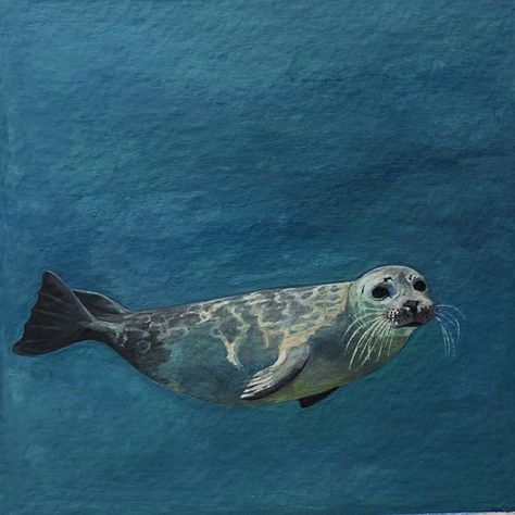 Seal Painting Acrylic, Harbor Seal Drawing, Harbor Seal Tattoo, Harbour Seal, Seal Painting, Seal Tattoo, Sea Creatures Art, Harbor Seal, Drawing Conclusions