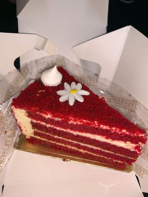 Red Velvet Cake Aesthetic, Red Velvet Aesthetic, Velvet Aesthetic, Latest Henna Designs, Cake Slice, Velvet Cake, Red Velvet Cake, Henna Designs, Red Velvet