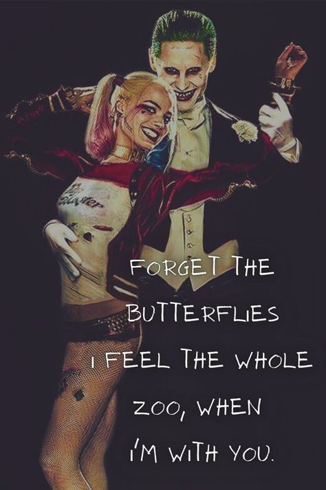 Forget the butterflies. I feel the whole zoo when I'm with you - Harley Quinn quotes - Harley Quinn, Harley Quinn quotes, Harley Quinn joker quotes, Motivational quotes Harley And Joker Love Quotes, Joker And Harley Quotes, Harley Quinn Quotes Relationships, Cute Wallpaper Ideas For Couples, Harley Quinn And Joker Wallpaper, Joker And Harley Quinn Quotes, Joker And Harley Quinn Wallpapers, Harley Quinn X Joker, Harley Quotes