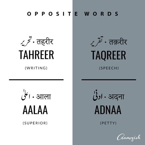 English To Urdu Dictionary, Words For Writers, Plural Words, Words With Meaning, Urdu Words With Meaning, Urdu Language, College Quotes, Opposite Words, Unique Words Definitions