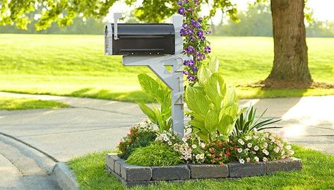 Learn how to improve your home’s curb appeal by adding plants to the area around your mailbox. Mailbox Plants, Simple Flower Bed Ideas, Lowes Plants, Mailbox Planter, Mailbox Flowers, Flower Bed Decor, Cool Mailboxes, Rural Mailbox, Mailbox Garden