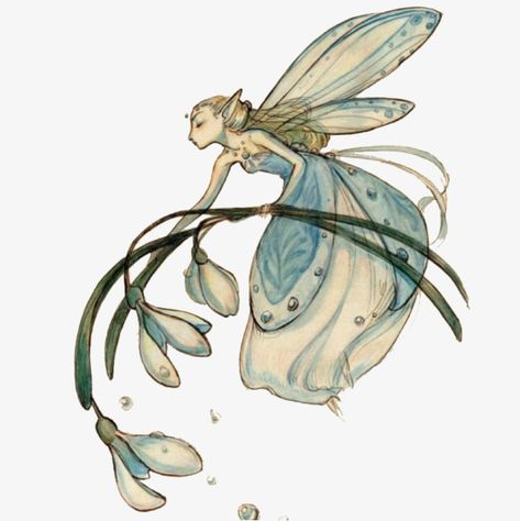 Fairy Sketch, Fairy Games, Fairy Cartoon, Witch Drawing, Fairy Butterfly, Fairy Drawings, Drawn Flowers, Pixies Fairies, Fairy Pictures