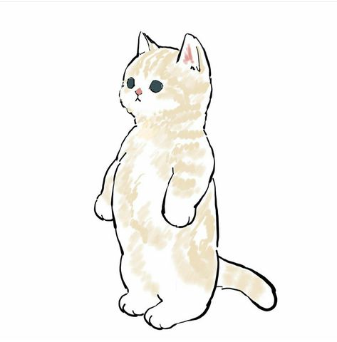 Sand Cats, Mofu Sand, Line Animation, Sand Cat, Kitten Drawing, Cat Tat, Munchkin Cat, Cat Icon, Floral Stickers