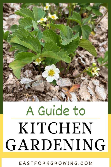 Thinking about growing a kitchen garden? This guide covers everything from kitchen garden ideas to what to plant in a kitchen garden for the best harvest. Learn how kitchen gardening can help you create your own food garden and discover what to grow in a kitchen garden that’s perfect for your lifestyle. Whether you’re a beginner or experienced, you’ll find great tips on what is kitchen gardening and garden planning and how to make it work for you! How To Plan A Garden, Vegetable Gardening For Beginners, Garden Planning Template, Food Garden Layout, Self Sufficient Garden, Planning Printables Free, Biointensive Gardening, Kitchen Garden Ideas, Different Lifestyles