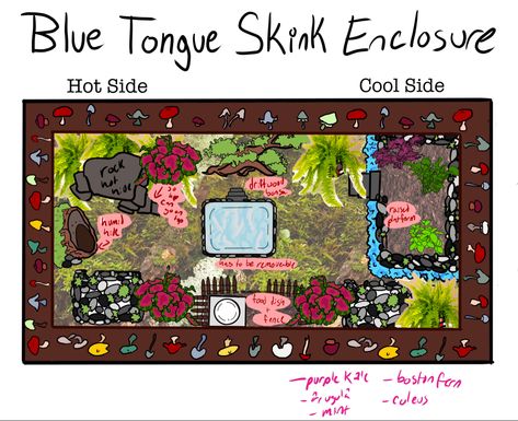 Blue Tongue Skink Enclosure Ideas, Blue Tongue Skink Enclosure, Skink Enclosure, Dragon Enclosure, Blue Tongue Skink, Reptile Care, Terrarium Ideas, Reptiles, Terrarium