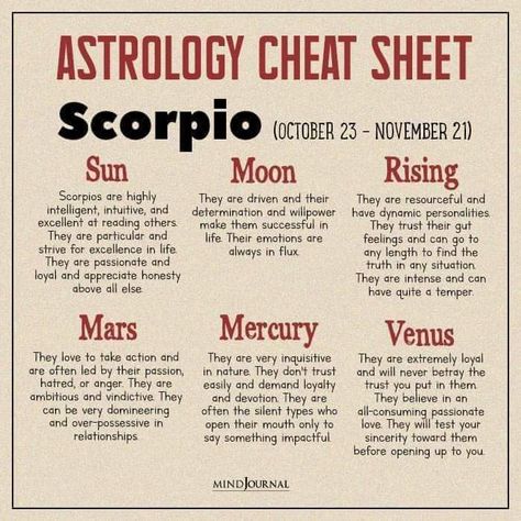 Tarot Card Layouts, Numerology Horoscope, Astrology Meaning, Scorpio Zodiac Facts, Astrology Pisces, Birth Chart Astrology, Prayer For Protection, Learn Astrology, Astrology Numerology