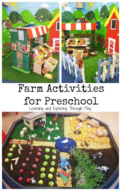 Farm Activities for Preschool Farm Activities For Preschool, Farm Unit Preschool, Dramatic Play Themes, Dramatic Play Center, Farm Theme Preschool, Play Farm, Purposeful Play, Role Play Areas, Farm Unit