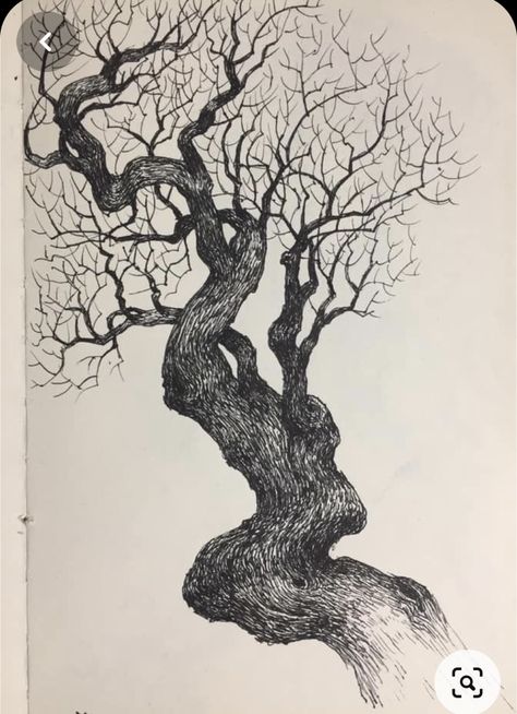 Luca Painting, Goth Lettering, Tree Tattoos, Interesting Drawings, Tree Sketches, Hole Punches, Fine Art Drawing, Arte Sketchbook, Arte Inspo