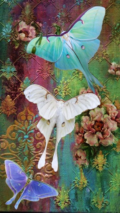 luna moths old wallpaper Luna Moth Wallpaper, Moth Wallpaper, Luna Moths, Luna Moth, Old Wallpaper, Amazing Art, Moth, Crystals, Flowers