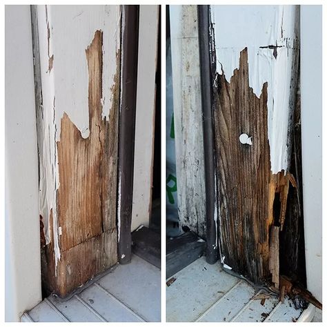 At some point, you're likely to run into some rotted wood outdoors that needs fixing. In our case, it was part of a door into the garage. No problem, let's get started! Scary, right?! What do you do when you see this? Run? Panic? Cover your eyes and keep walking? Now you can fix it!This isn't a complete overhaul redo but rather a minor replace/patch job because sometimes it just isn't in the cards to do a complete overhaul redo.This is the door that leads into our garage from… Garage Door Wood, Diy Exterior Door, Door Frame Repair, Garage Door Framing, Exterior Door Frame, Wood Door Frame, Diy Exterior, Wood Garage Doors, Wood Repair