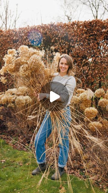 Pollyanna Wilkinson on Instagram: "It's time to prune your hydrangea! Or rather, it's time if you live in milder areas. If you live in a cooler zone or have frost due - then you might want to wait another couple of weeks. This tutorial focuses on arborescens (like the ever popular Annabelle) and paniculata (including limelight, pinky winky etc). I'll follow up with mophead and lacecaps, which are typically those that are flatter flower heads of bright pink or blue and have a very different way of pruning.   Gimme those Hydrnagea questions in the comments." Pollyanna Wilkinson, Garden Portrait, Hydrangea Paniculata, Pink Or Blue, Garden Tips, Garden Planning, Gardening Tips, Bright Pink, Hydrangea