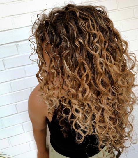 Curly Balayage Hair Naturally, Ombre Hair Curly Natural Curls, Carmel Highlights On Curly Hair Natural Curls, Curl Hair With Highlights, Natural Curly Balayage Hair, Ombre Hair Color For Curly Hair, Natural Curl Finish, Blonde Balayage On Naturally Curly Hair, Natural Curly Blonde Highlights