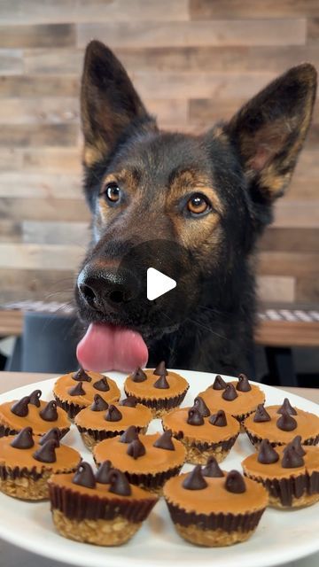 Peanut Butter Cups For Dogs, Peanut Butter Oat Cups, Baby Treats, Oat Cups, Peanut Butter Oat, Doggy Treats, Dog Ice Cream, Peanut Butter Oats, Doggie Treats