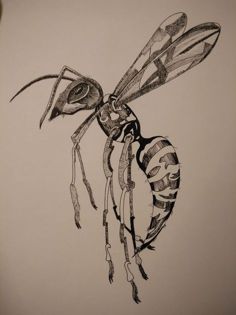 Creepy Insects Drawing, Wasps Drawing, Bug Drawing Insects, Wasp Tattoo Design, Hornet Drawing, Wasp Drawing, Insects Drawing, Drawing Insects, Insect Drawings