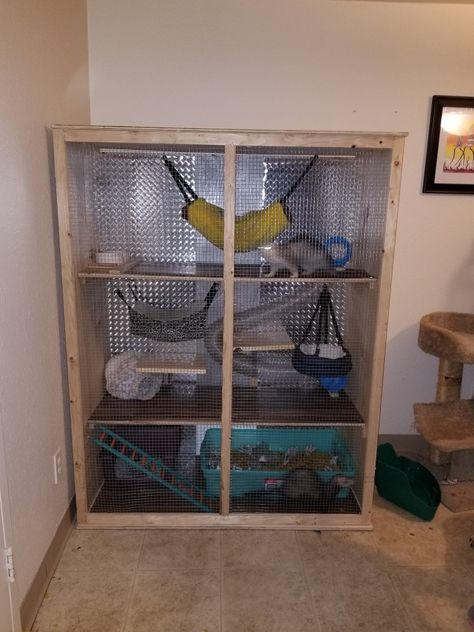 Home made ferret cage Diy Ferret Cage Homemade, Diy Bearded Dragon Enclosure, Dragon Enclosure, Bearded Dragon Diy, Ferrets Care, Bearded Dragon Enclosure, Florida Vibes, Ferret Stuff, Ferret Cage